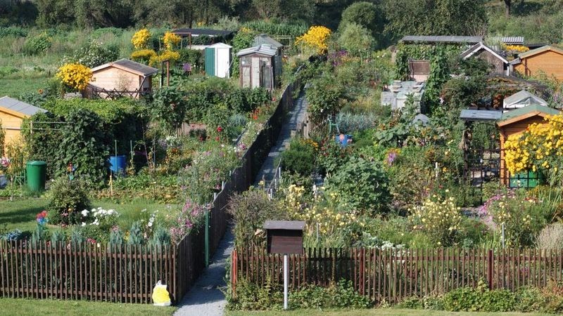 Schrebergarten en Munich