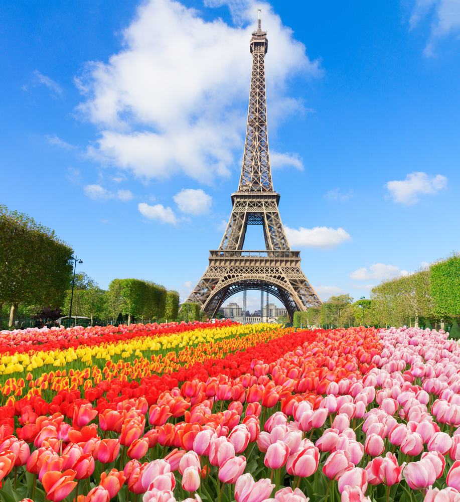 1. Sube a la Torre Eiffel con acceso prioritario a la segunda planta (En París)